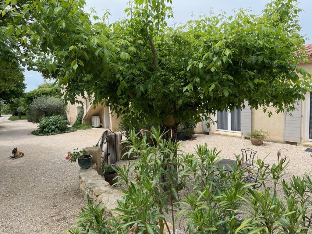 Bastide Provencale Vila Cadenet Exterior foto